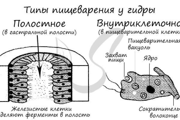 Блэкспрут магазины