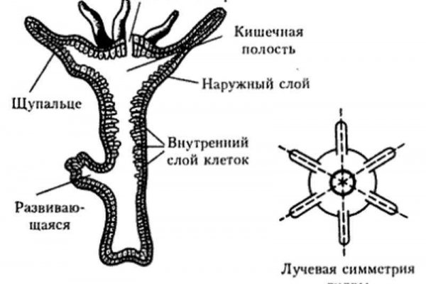 Черные сайты blacksprut adress com