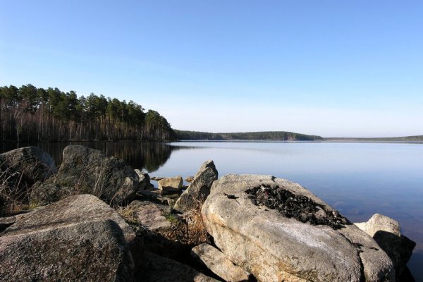 Блекспрут зеркала онион