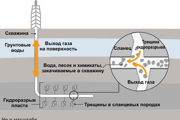 Что такое код аккаунта на блэкспруте