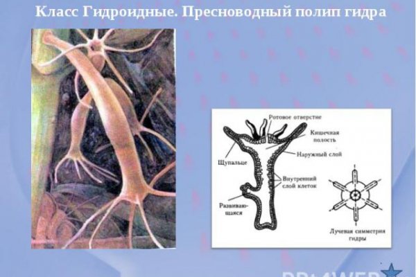 Как узнать 2fa код на блэк спрут