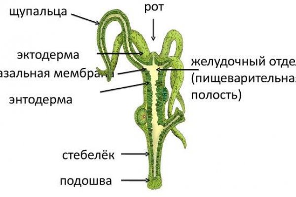 Что такое блэк спрут маркетплейс